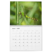 Libellen-Kalender 2016 durch Steve Borichevsky Kalender (Mär 2027)