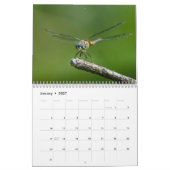 Libellen-Kalender 2016 durch Steve Borichevsky Kalender (Jan 2027)