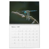 Libellen-Kalender 2016 durch Steve Borichevsky Kalender (Feb 2027)