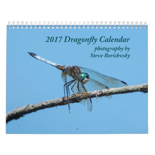 Libellen-Kalender 2017 Kalender (Titelbild)