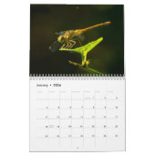 Libellen-Kalender 2017 Kalender (Jan 2026)
