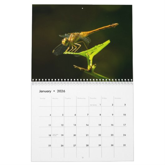 Libellen-Kalender 2017 Kalender (Jan 2026)