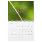 Libellen-Kalender 2017 Kalender (Feb 2027)