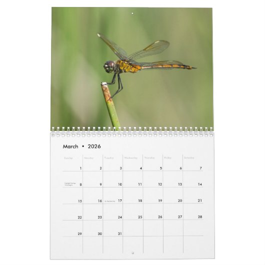 Libellen-Kalender 2018 Kalender (Mär 2026)