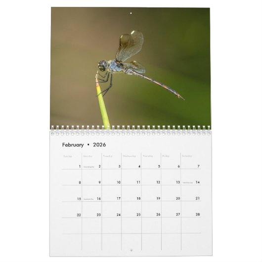 Libellen-Kalender 2018 Kalender (Feb 2026)