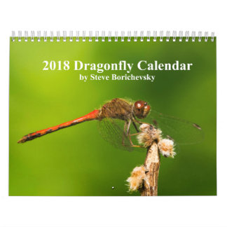 Libellen-Kalender 2018 Kalender