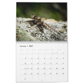 Libellen-Kalender 2018 Kalender (Jan 2027)