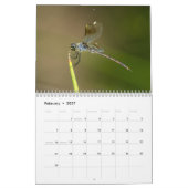 Libellen-Kalender 2018 Kalender (Feb 2027)