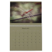 Libellen-Kalender Kalender (Mär 2027)