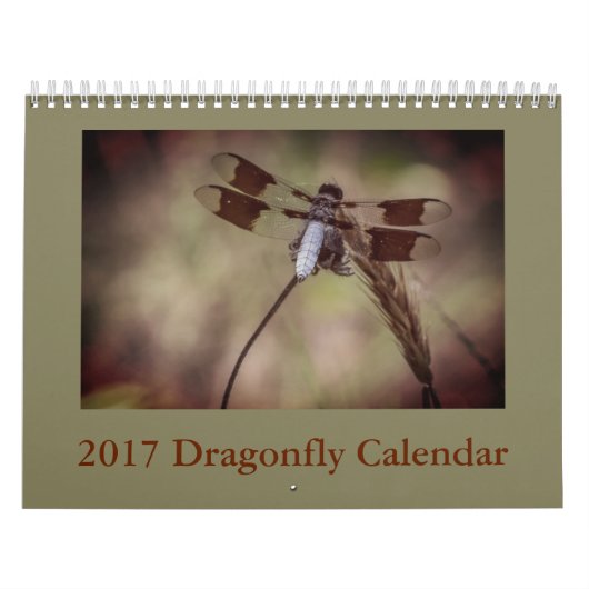 Libellen-Kalender Kalender (Titelbild)