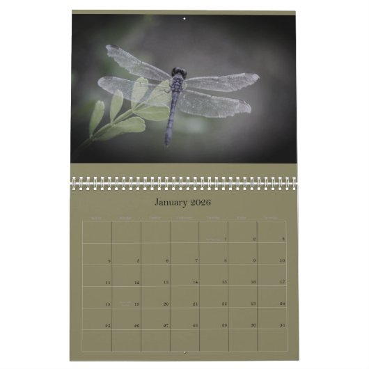 Libellen-Kalender Kalender (Jan 2026)