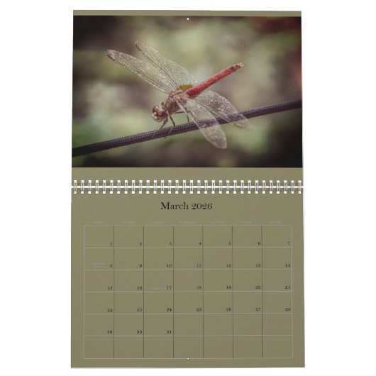 Libellen-Kalender Kalender (Mär 2026)