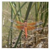 Libellen-Keramik-Fliese (großes Bild) Fliese (Vorderseite)