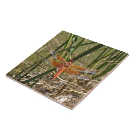 Libellen-Keramik-Fliese (großes Bild) Fliese (Seite)