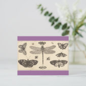 Libellen, Ladyvögel und Schmetterlinge Postkarte (Stehend Vorderseite)