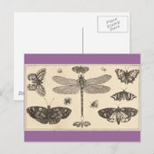 Libellen, Ladyvögel und Schmetterlinge Postkarte (Vorne/Hinten)