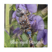 Libellen-Libelle mit blauen Augen auf einer Blume Fliese (Vorderseite)