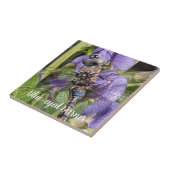Libellen-Libelle mit blauen Augen auf einer Blume Fliese (Seite)