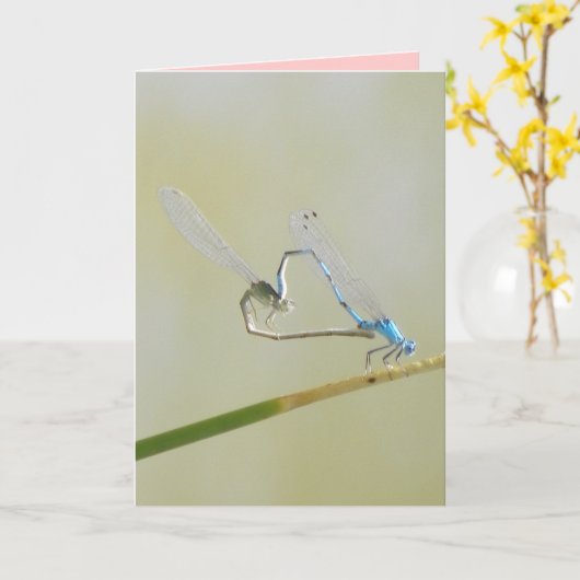 Libellen-Liebe Karte (Gelbe Blume)