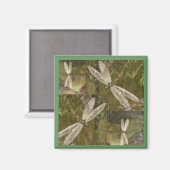 Libellen Magnet (Vorderseite/Rückseite)