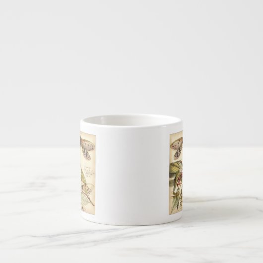 Libellen mit Blätter und Obst Espressotasse (Vorderseite)