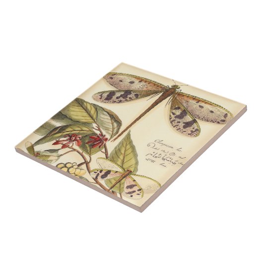 Libellen mit Blätter und Obst Fliese (Seite)