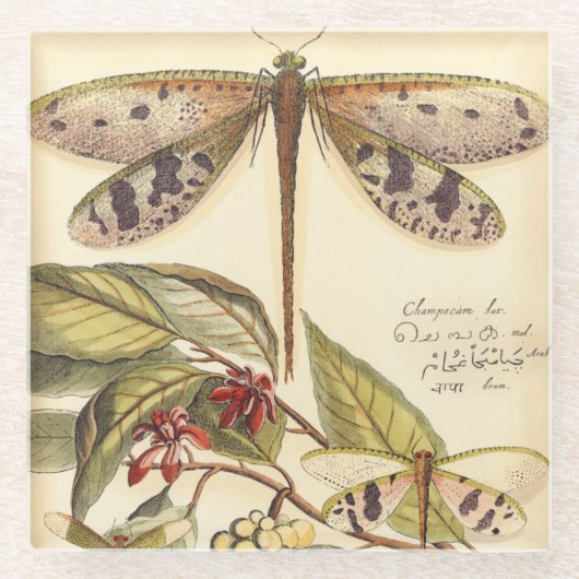 Libellen mit Blätter und Obst Glasuntersetzer (Vorderseite)