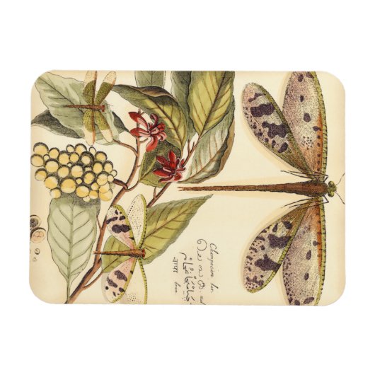 Libellen mit Blätter und Obst Magnet (Horizontal)