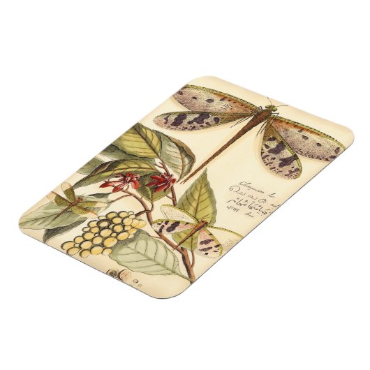 Libellen mit Blätter und Obst Magnet (Linke Seite)