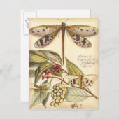 Libellen mit Blätter und Obst Postkarte (Vorne/Hinten)