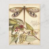 Libellen mit Blätter und Obst Postkarte (Vorderseite)