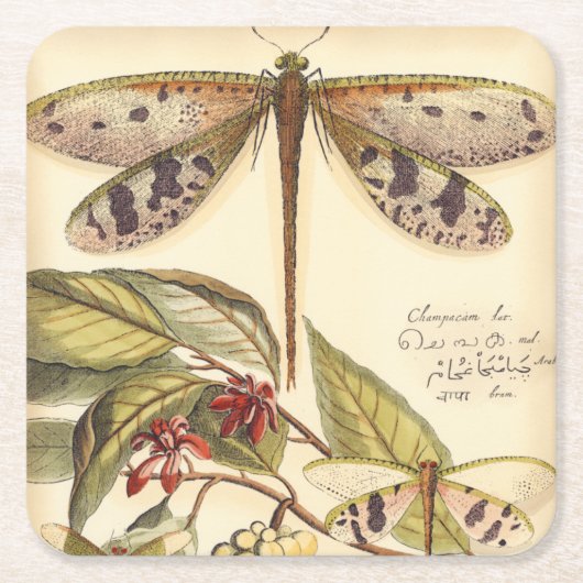 Libellen mit Blätter und Obst Rechteckiger Pappuntersetzer (Vorderseite)