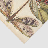 Libellen mit Blätter und Obst Seidenpapier (Ausschnitt)