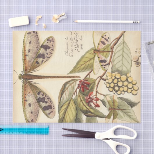 Libellen mit Blätter und Obst Seidenpapier (Handwerk)