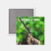 Libellen-Natur Personalisiert Magnet (Vorderseite/Rückseite)