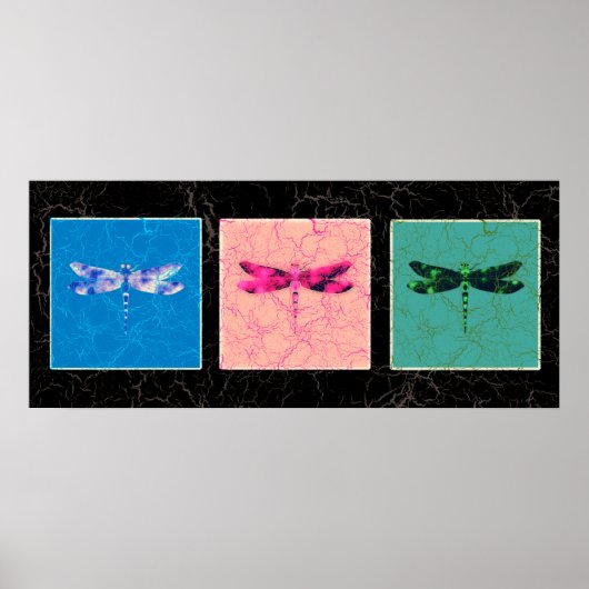 Libellen Poster (Vorne)