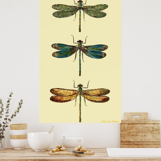 Libellen Poster (Küche)