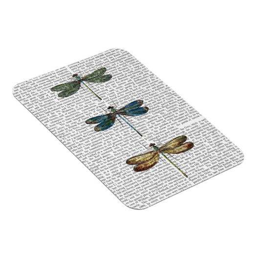 Libellen Print 2 Magnet (Rechte Seite)
