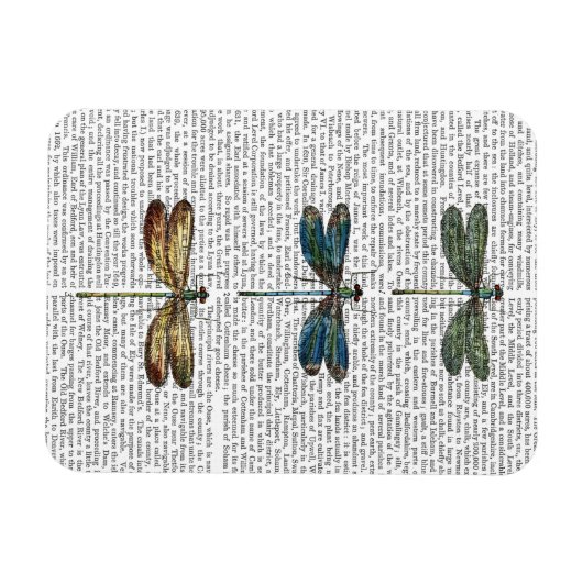 Libellen Print 2 Magnet (Horizontal)