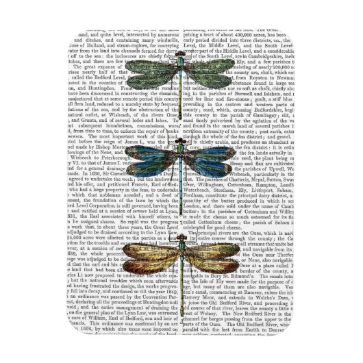 Libellen Print 2 Magnet (Vertikal)