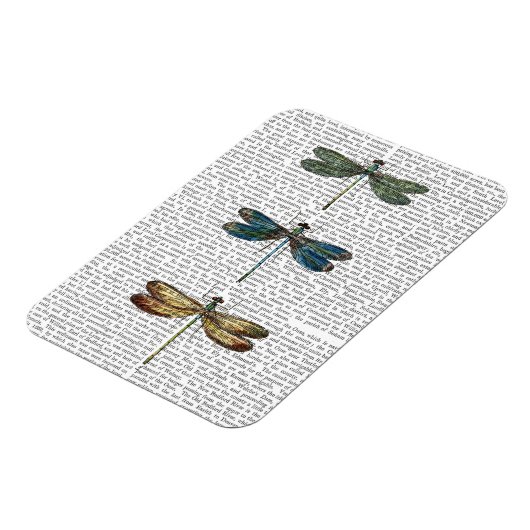 Libellen Print 2 Magnet (Linke Seite)