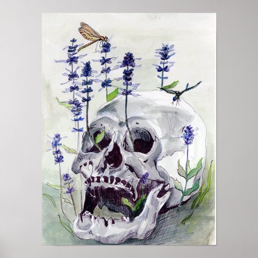 Libellen, Print Poster (Vorne)