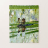 Libellen-Puzzlespiel Puzzle (Vertikal)