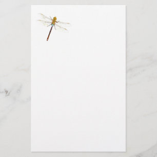 Libellen-Träume Briefpapier