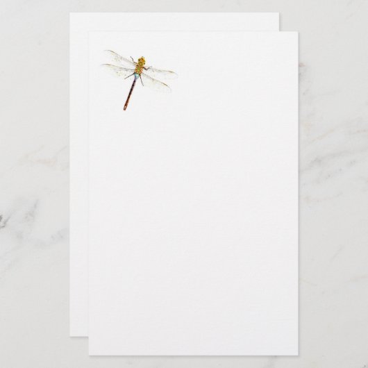 Libellen-Träume Briefpapier (Vorne/Hinten)