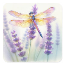 Libellen und Lavendel blühen