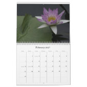 Libellen und Wasserlilien Kalender (Feb 2027)