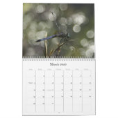 Libellen und Wasserlilien Kalender (Mär 2026)