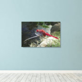 Libellenfliege auf Ast, nah Leinwanddruck (Insitu (Holzboden))