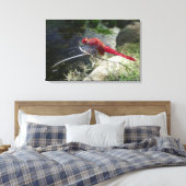 Libellenfliege auf Ast, nah Leinwanddruck (Insitu (Schlafzimmer))